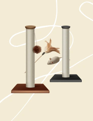 categories-features-img