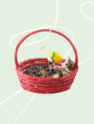 categories-features-img